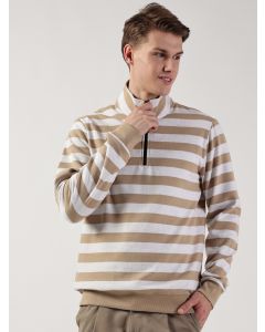 Beige Regular Fit Long Sleeves Striped Tshirt