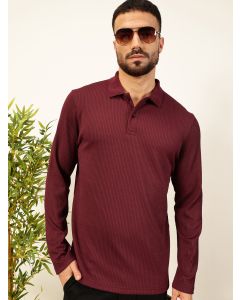 Men Purple Polo Collar Tshirt