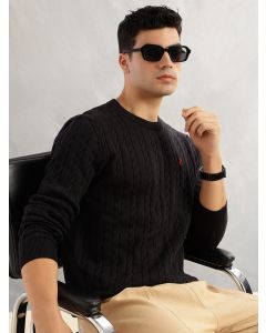 Black Regular Fit Long Sleeves Round Neck Self Design 100% Cotton Cable Knitted Pullover Sweater
