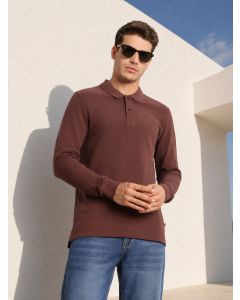 Brown Regular Fit Solid Polo Collar Long Sleeve Pure Cotton Knitted T-shirt