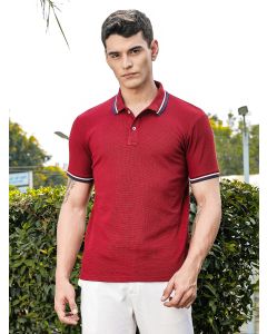 Wine Regular Fit Short Sleeves Waffle Knitted Polo Collar Tshirt