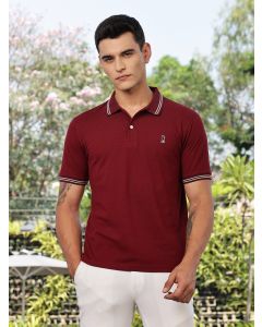 Maroon Regular Fit Short Sleeves Solid Polo Collar Knitted Tshirt