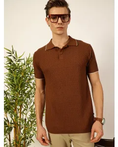 Men Brown Cotton Regular Fit Polo Tshirt