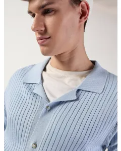 Men Blue Regular Fit Cotton Shirt