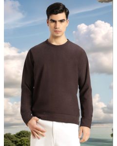 Brown Regular Fit Long Sleeves Round Neck Solid Polyester Pullover Sweatshirt